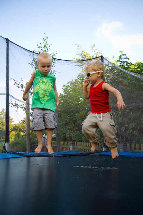 Brothers in flight