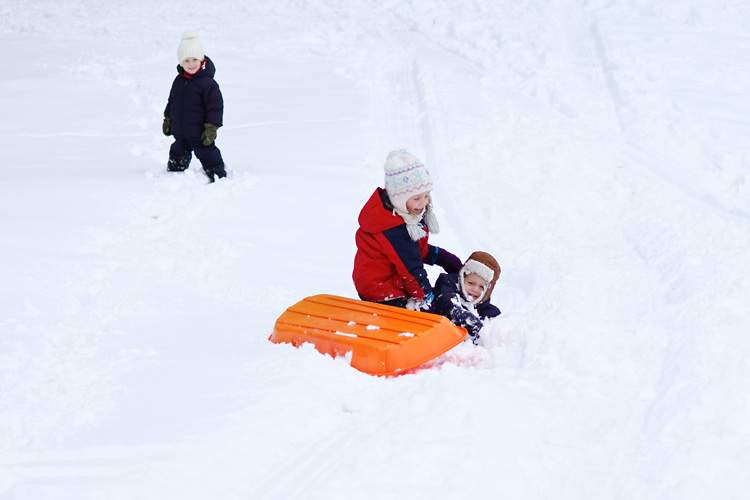 Nikola doesn't understand how the wipeout is supposed to be the fun part of sledding