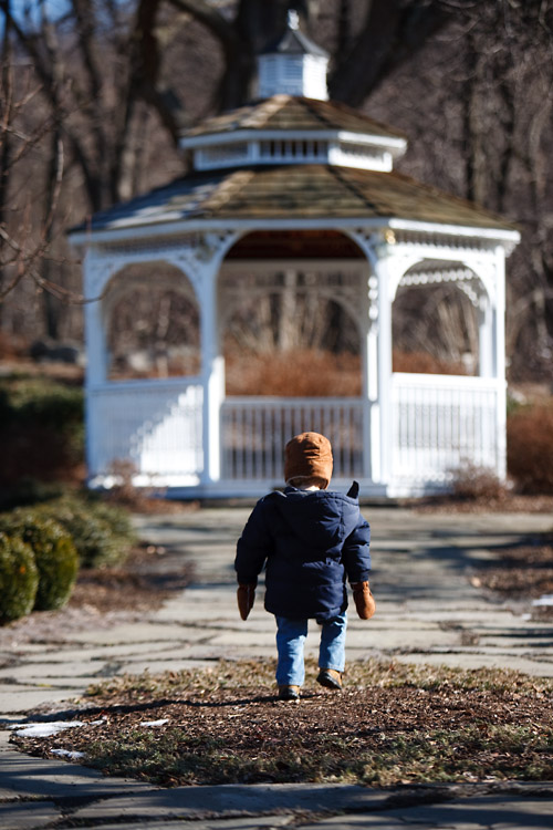 A walk in the park on a crisp Saturday morning