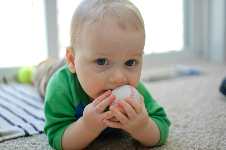 And so the baseball obsession begins