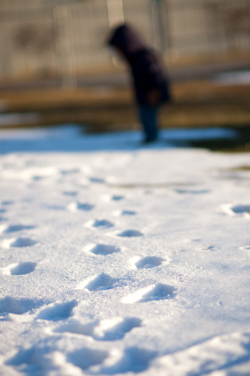 Nikola investigates his footprints in the snow at sunset