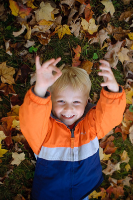 High on autumn leaves