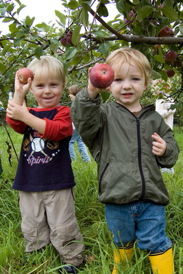 Displaying the fruits of their labor