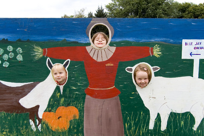 Animals