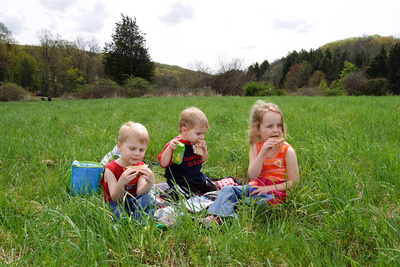 Picnic time