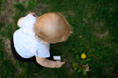 Setting his sights on that dandelion