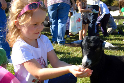 A handful of corn made Veronika a new friend