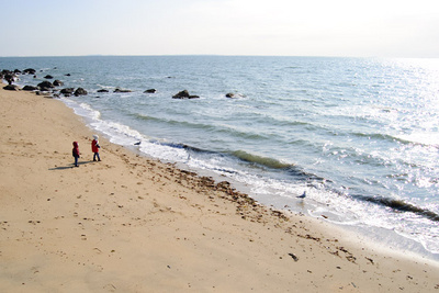 Braving the winter wind to play by the sea