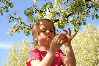 Suddenly spring