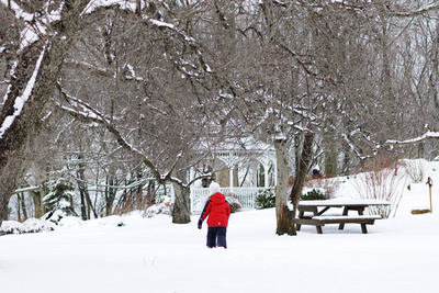 Taking in winter one more time, just in case it's the last of the season