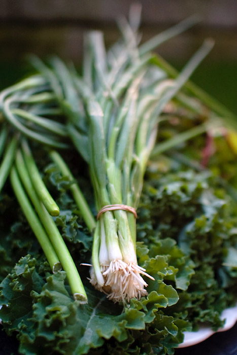 Scallions