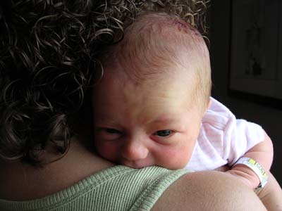 Rooting on mom's shoulder