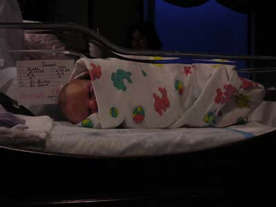 All bundled up