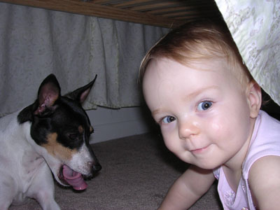 The kids in their secret fort