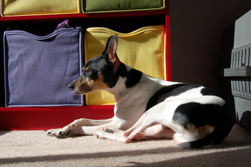 Finally getting a chance to relax