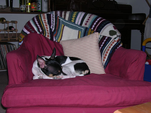 Then he progressed to the chairs.