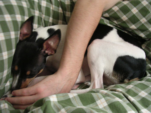 He has to curl up next to a warm body.