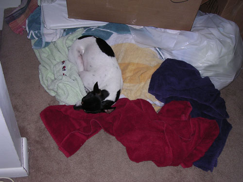 This is how it started.  The move to Danbury really took it out of him.
